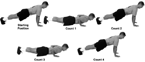 Gym Lovers - Chest Workout At Home/10Basic Push Up