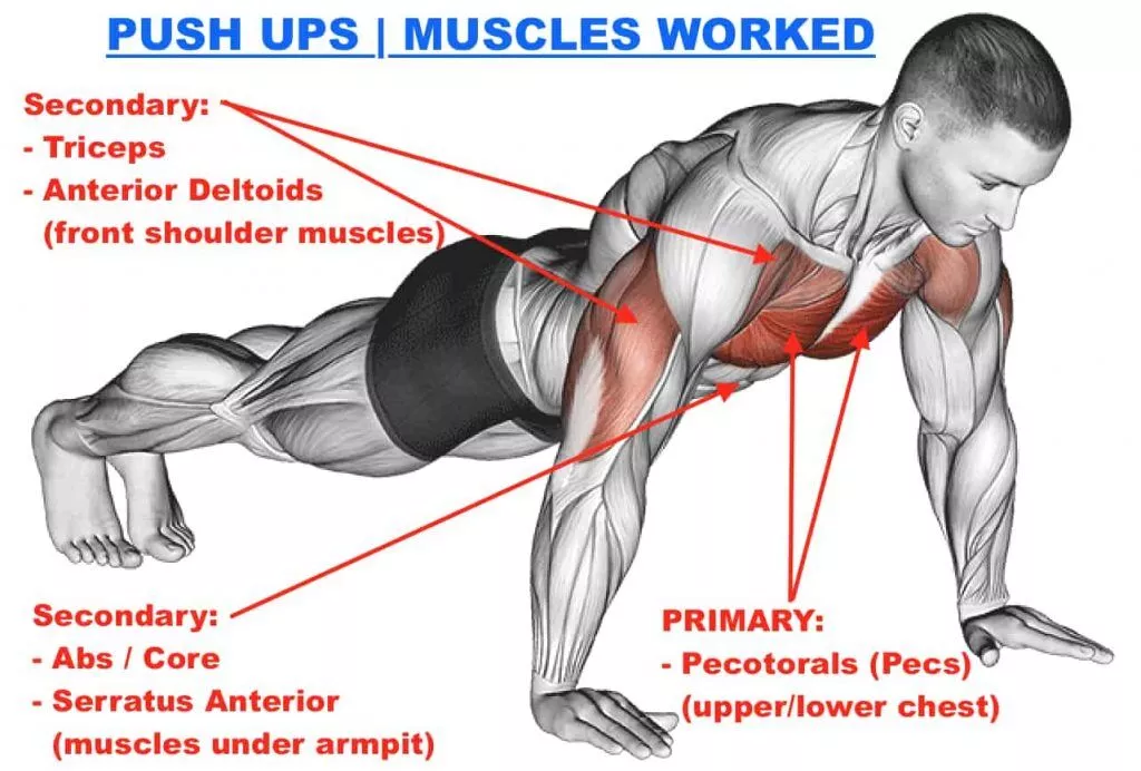 Push Up and Sit Up Workout Drill (PSD) 2023